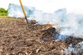 Cornfield fire with corn stover and trash burning in farm field. Royalty Free Stock Photo