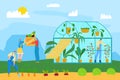 Farming agriculture food, nature plant harvest at greenhouse garden vector illustration. Farmer people character pick