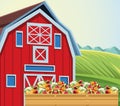 Farming barn and box with harvest fruits and vegetables