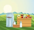 Farming canister milk bottle basket and box filled fruits and vegetables