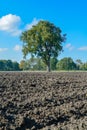 Farming, country style landscape with freshly plowed field