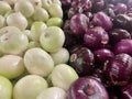 Farming, cultivation, agriculture and vegetables concept: Large bulbs of red and white onions close-up in a two rows. Royalty Free Stock Photo