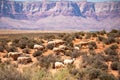 Farming in desert. Sheeps and lamb wool in Arizona. Desert Valley. Canyon national park. Red rocks canyon in Utah Royalty Free Stock Photo