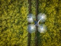 Farming Drone Flying Over an Oilseed Crop Collecting Plant Data