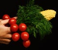 Farming and fall crops concept. Autumn maize harvest idea.