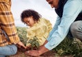 Farming family, parents or child planting in soil agriculture, sustainability learning or future growth planning for