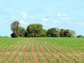 Farming fields