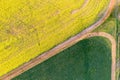 Farming fields green and gold patterns