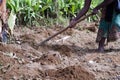 Farming fields in africa Royalty Free Stock Photo