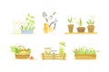 Farming, gardening and agriculture objects set. Seedlings and tools vector illustration Royalty Free Stock Photo