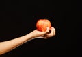 Farming and healthy nutrition concept. Female hand holds fresh fruit Royalty Free Stock Photo