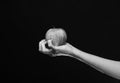 Farming and healthy nutrition concept. Female hand holds fresh fruit Royalty Free Stock Photo