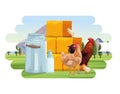 Farming hen chickens and rooster canister milk hay bales trees fence landscape