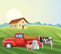 Farming house pickup tractor cow pig milk canister field landscape Royalty Free Stock Photo