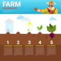 Farming Infographics Eco Friendly Organic Natural vegetable Growth Farm Production Banner With Copy Space Royalty Free Stock Photo