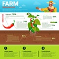 Farming Infographics Eco Friendly Organic Natural vegetable Growth Farm Production Banner With Copy Space Royalty Free Stock Photo