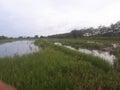 farming in the middle of a flood but still enjoying itÃ¯Â¿Â¼