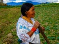 Farming in Otavalo, Ecuador