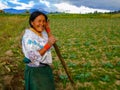 Farming in Otavalo, Ecuador