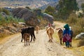 Farming In Peru, South America.