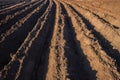 Farming Plowed Earth Soil Planting Royalty Free Stock Photo