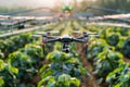 Farming Revolution Enhancing Crop Care with VR, AR, and Drones