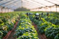 Farming Revolution Enhancing Crop Care with VR, AR, and Drones