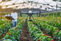 Farming Revolution Enhancing Crop Care with VR, AR, and Drones