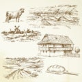 Farming, rural landscape