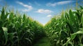 farming silage corn de