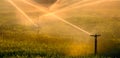 Farming Sprinklers in Field Irrigation and Watering of Crops Royalty Free Stock Photo