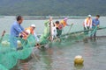 The farming sturgeon fish in cage culture in Tuyen Lam lake. Several species of sturgeons are harvested for their roe, which is ma