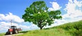 Farming tractor and big green tree