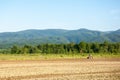 Farming with tractor and plow in field with mountain Papuk in th Royalty Free Stock Photo