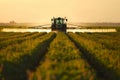 Farming tractor spraying fertilize or pesticide on agricultural field Royalty Free Stock Photo