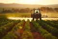 Farming tractor spraying fertilize or pesticide on agricultural field Royalty Free Stock Photo