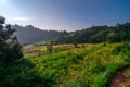 Farming in Himalayas Royalty Free Stock Photo