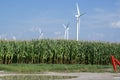 Farming Wind and Corn Royalty Free Stock Photo