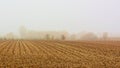 Farmlad with stubbles in the mist in the flemish countryside