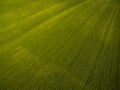 Farmland from above - aerial image of a lush green filed