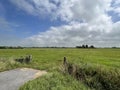 Farmland around Tzum