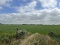 Farmland around Tzum in Friesland