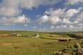 Farmland at Baggy Point Royalty Free Stock Photo