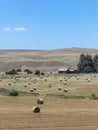 Farmland Bathurst NSW Australia Royalty Free Stock Photo