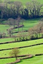 Farmland in Blackdown Hill Royalty Free Stock Photo