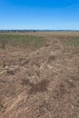 Farmland - Central NSW Australia