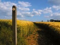 Farmland with cereal crops