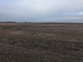 Farmland on a cloudy evening. Overcast. Landscape