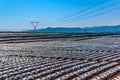 A Farmland is covered by plastic sheets to keep the moisture for the seedling. At Red Land, Dongchuan, Kunming, Yunnan, China. Royalty Free Stock Photo