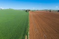 Farmland - Cowra NSW Australia